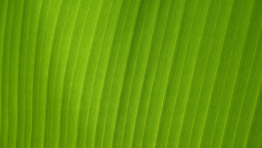 612487 (a): :1920x1080